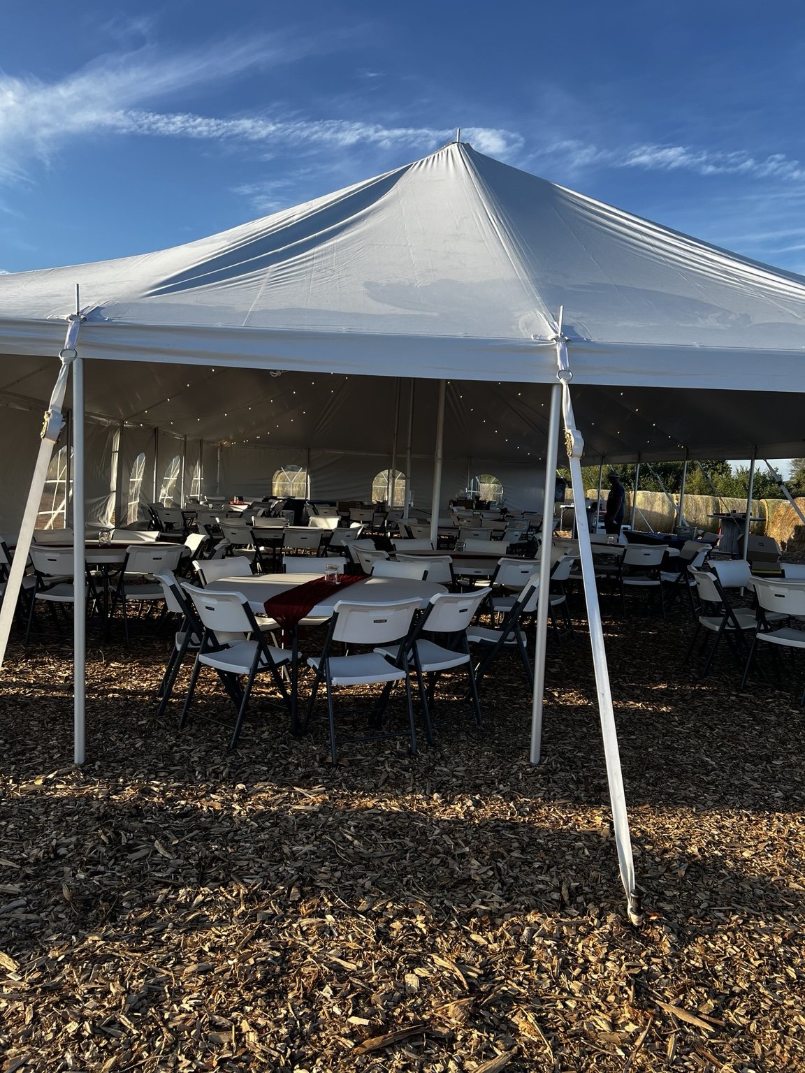 Event tent with round tables and chairs