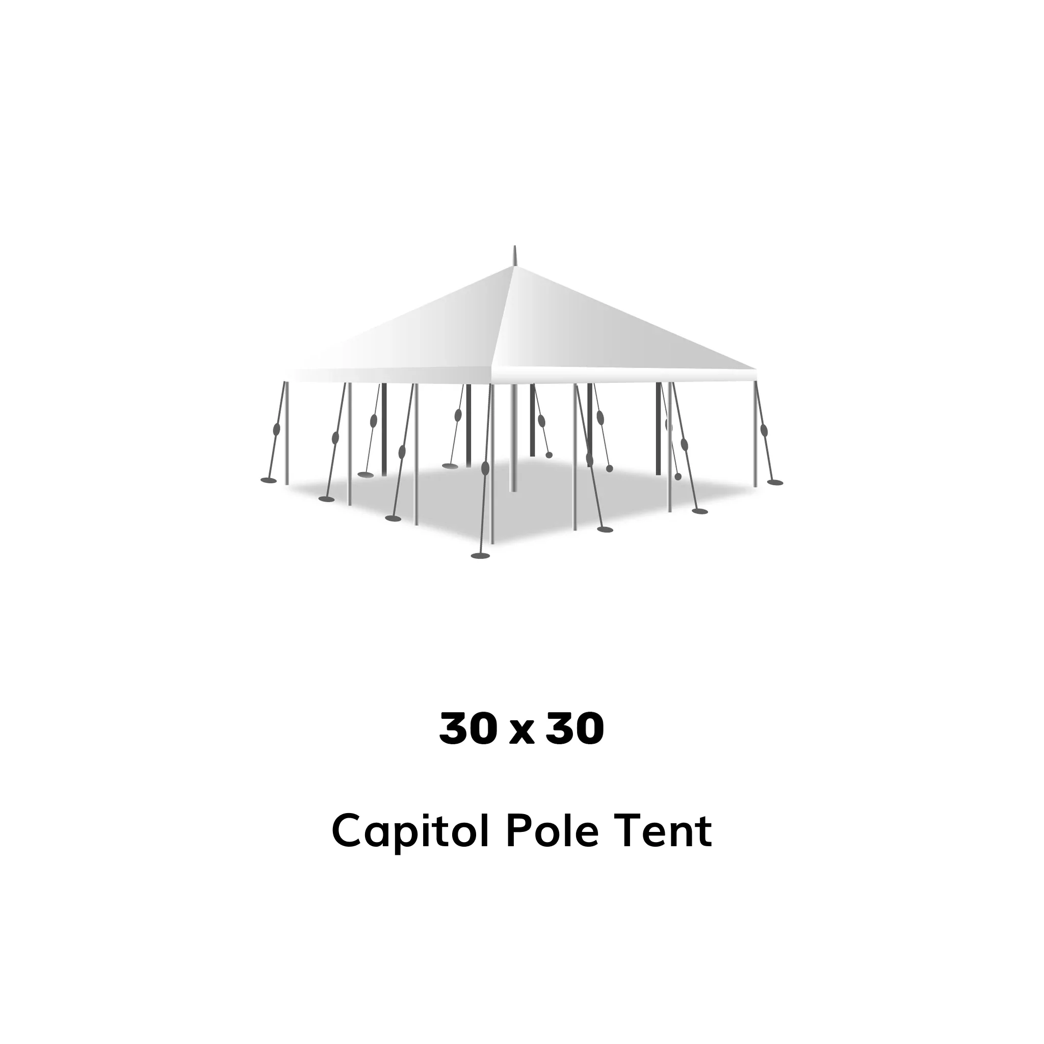 30 by 30 tent