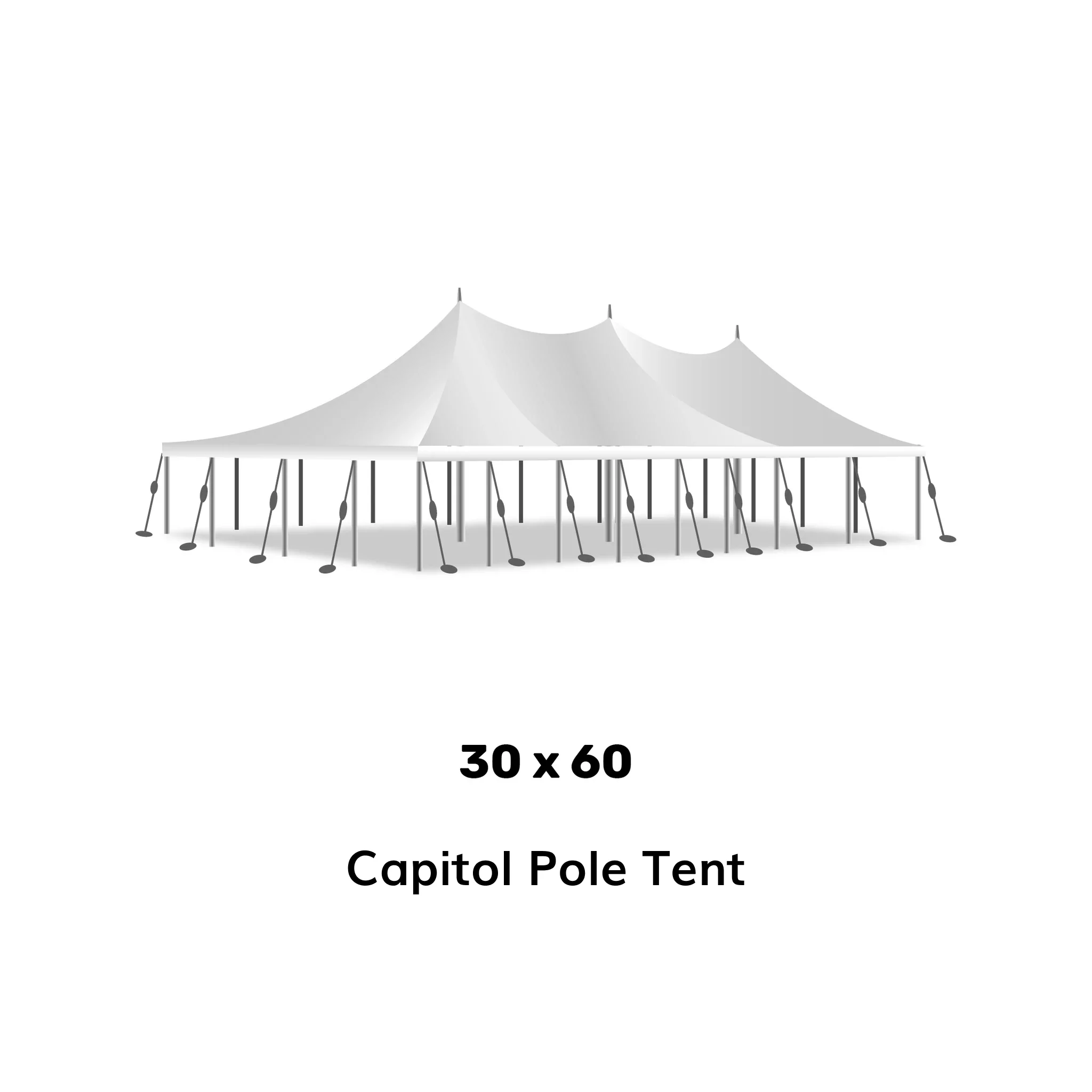 30 by 60 tent